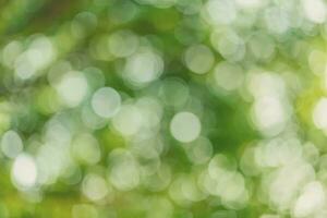 green bokeh background with circles. Summer abstract theme. photo