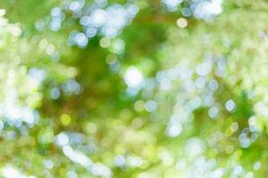 green bokeh background with circles. Summer abstract theme. photo