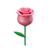 pink rose 3d rendering icon illustration png