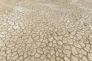 Brown dry soil or cracked ground texture background. photo