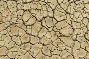 Brown dry soil or cracked ground texture background. photo