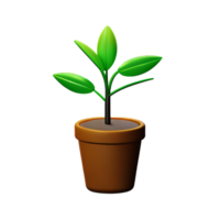 em vaso plantas 3d Renderização ícone ilustração png