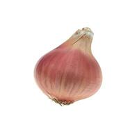 Ripe onion on a white background photo