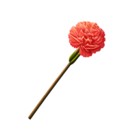 carnation 3d rendering icon illustration png