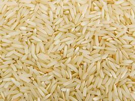 close up raw rice background. macro photo