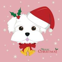 Christmas greeting card. Maltese dog with red Santa's hat and Christmas bells vector