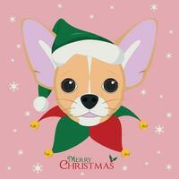 Christmas greeting card. Chihuahua dog with green Santa's hat vector