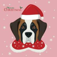 Christmas greeting card. Saint Bernard dog with red Santa's hat vector