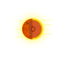 anatomia di il sole, il sole è fondamentalmente un' gigante palla di gas e plasma, il interno strati siamo il nucleo, radiativo zona e convezione zona, strati di il sole png