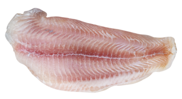 pangasius filea skiva png