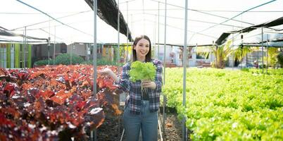 Caucasian female farmer wearing  is caring for organic vegetables inside the nursery.Young entrepreneurs with an interest in agriculture at farm photo