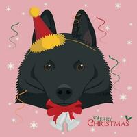 Christmas greeting card. Schipperke dog wearing a party hat vector