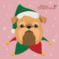 Christmas greeting card. Brussels Griffon dog with green Santa's hat vector