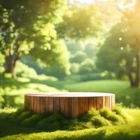 un vacío rústico de madera podio en el medio de un al aire libre paisaje prefabricado foto Bosquejo antecedentes