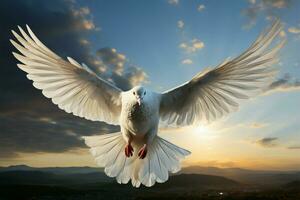 Homing pigeon, adorned in pure white, takes flight in boundless skies AI Generated photo