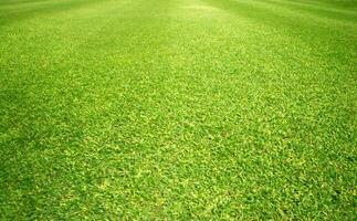 Green Grass Lawn Golf Course background photo