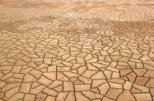 Paving stones texture walkway photo