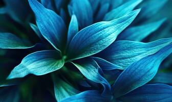 Blue Flower PNG Images  Free Photos, PNG Stickers, Wallpapers