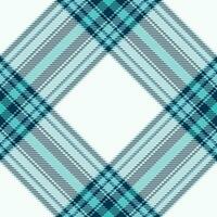 Plaid pattern vector. Check fabric texture. Seamless textile design for clothes, paper print. vector