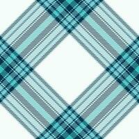 Plaid pattern vector. Check fabric texture. Seamless textile design for clothes, paper print. vector