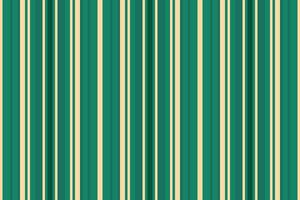 Lines seamless stripe of pattern vector texture with a fabric vertical background textile.