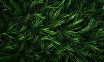 Fresh lush green grass on meadow with drops of water dew. Close-up macro. For banner, postcard, book illustration. Created with generative AI tools photo