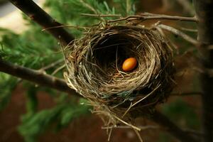 un aves nido anidado de forma segura dentro el ramas de un árbol ai generado foto