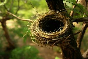 en el arboles sucursales, un oculto tesoro un aves nido ai generado foto