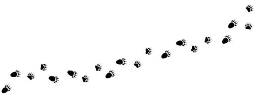 Path of bear footprints. Tracks of paw prints of a bear, panda, grizzly bear. Black and white silhouette. Bear trail. Vector isolated on white. For print, textile, clothing, postcard, games, pet store