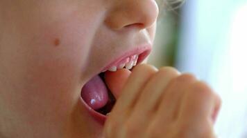 el niño batidos el frente bebé diente y sonrisas un sin dientes sonrisa de cerca. cambiando dientes a molares en infancia video