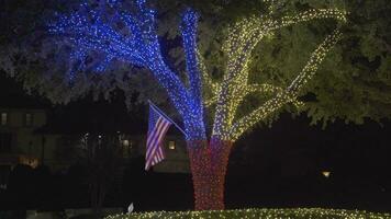 lindo fofa colorida Natal luzes árvore do texas por aí Vizinhança video