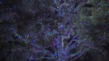 magnifique coloré Noël lumières des arbres autour quartier video