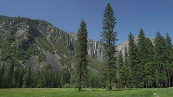Band fallen im Yosemit National Park Kalifornien, fließt aus ein Cliff auf das Westen Seite von el Capitän das am längsten Single fallen Wasserfall im Norden Amerika video