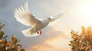 White dove flying in the sky. Freedom, peace and love concept photo