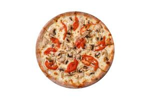 Delicious pizza with chicken, tomatoes and cheese with salt and sauce photo