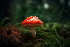 Red toadstool mushroom. Generate Ai photo