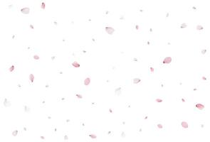 Realistic cherry petals. Vector illustration