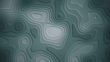 Topographical map styled motion background animation with gently morphing organic shapes. Full HD and a seamless loop. video