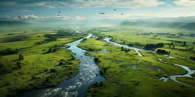 ai generado. ai generativo. increíble aéreo zumbido ver naturaleza al aire libre bosque campo prado con río y aves en el cielo. gráfico Arte foto