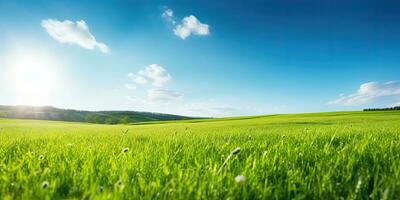 AI Generated. AI Generative. Green fresh grass field meadow with blue sky horizon background. Mock up inspirational wild outdoor nature. Graphic Art photo