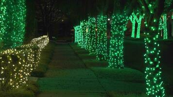 magnifique coloré Noël lumières des arbres autour quartier video