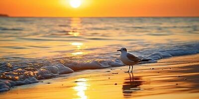 AI Generated. AI Generative. Beautifil sea nautical sunset beach island with seagull bird. Graphic Art photo