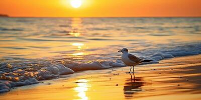 ai generado. ai generativo. hermoso mar náutico puesta de sol playa isla con Gaviota pájaro. gráfico Arte foto