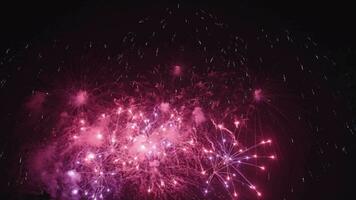 4k Feuerwerk Anzeige im schleppend Bewegung echt Epos schön bunt Feuerwerk Neu Jahre Vorabend, Weihnachten, 4 .. von Juli, Festival, Jubiläum, Feier, Party, glücklich Geburtstag, Hochzeit, Konfetti, Diwali video