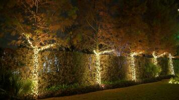 lindo colorida Natal luzes árvores por aí Vizinhança video