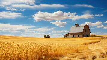 Rustic barn nestled in golden wheat field photo