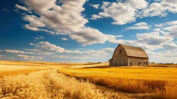 Rustic barn nestled in golden wheat field photo