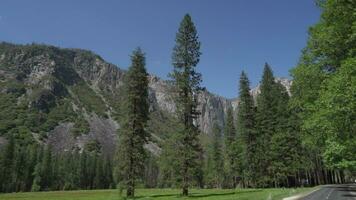 fita outono dentro yosemite nacional parque Califórnia, fluxos fora uma penhasco em a oeste lado do el capitão a mais longo solteiro solta cascata dentro norte América video