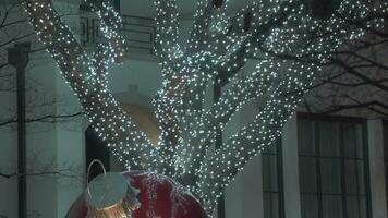 bellissimo colorato Natale luci alberi in giro Quartiere video