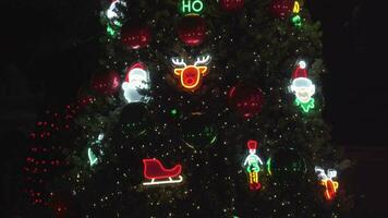 bellissimo colorato Natale luci alberi in giro Quartiere video